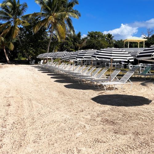 Avalon Beach Umbrella